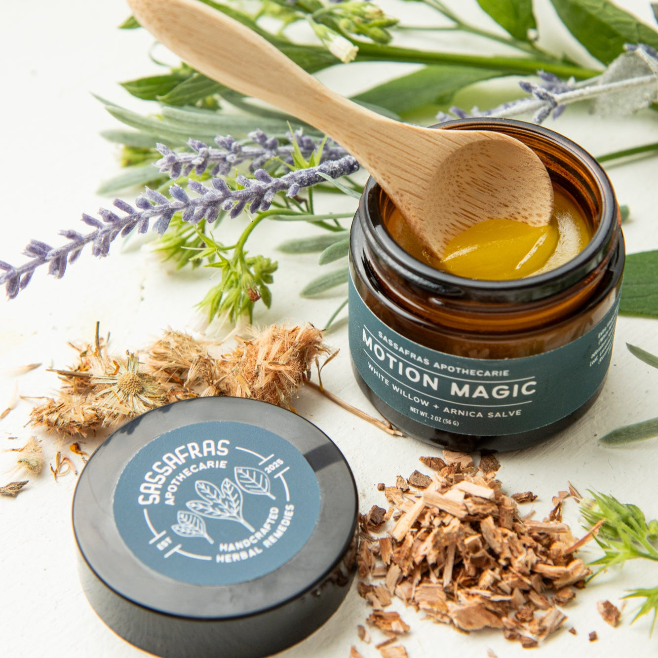 Motion Magic Salve