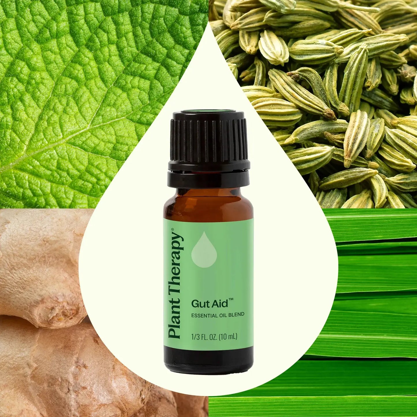 Gut Aid™ Essential Oil Blend 10 mL