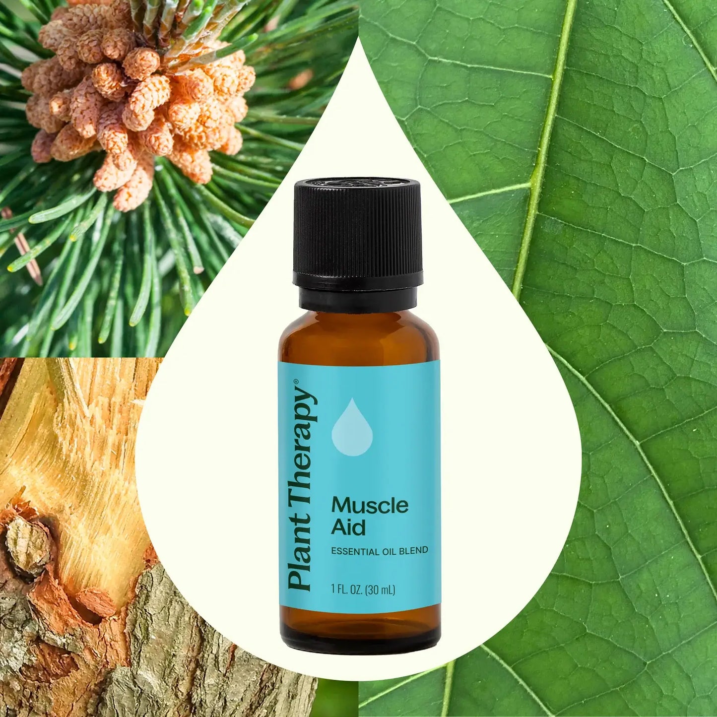 Muscle Aid Essential Oil Blend 10 mL
