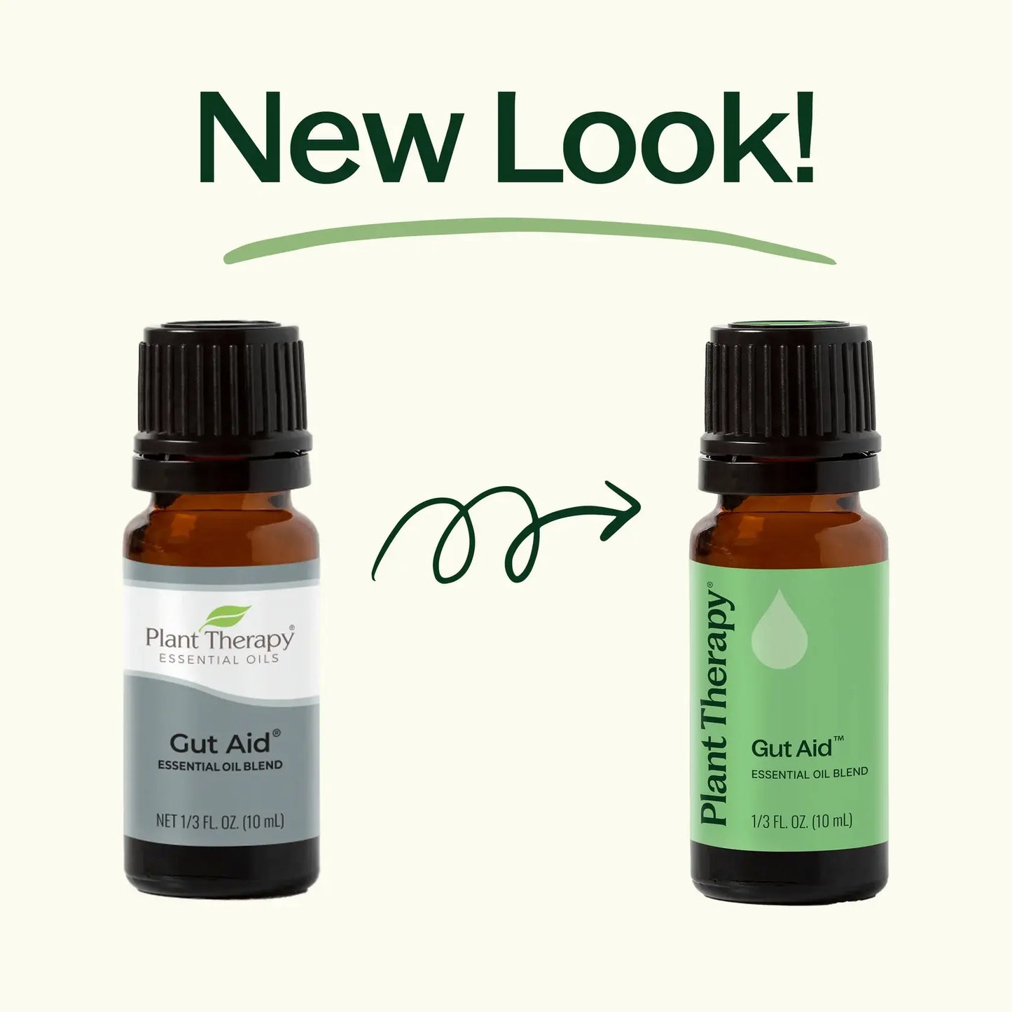 Gut Aid™ Essential Oil Blend 10 mL